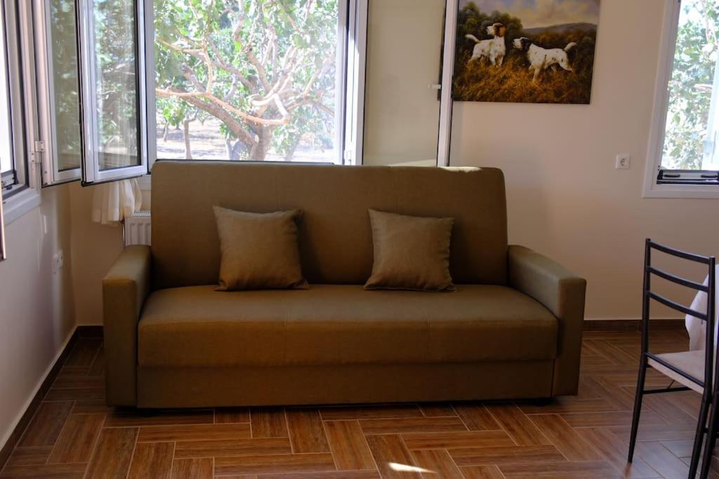 Nick'S House Βίλα Αίγινα Εξωτερικό φωτογραφία