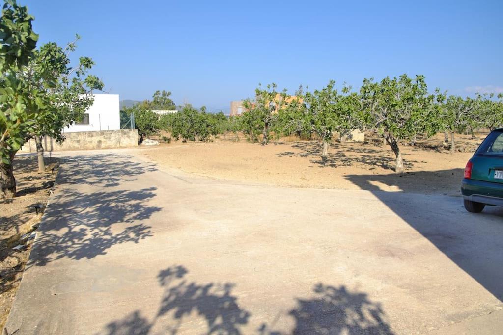 Nick'S House Βίλα Αίγινα Εξωτερικό φωτογραφία