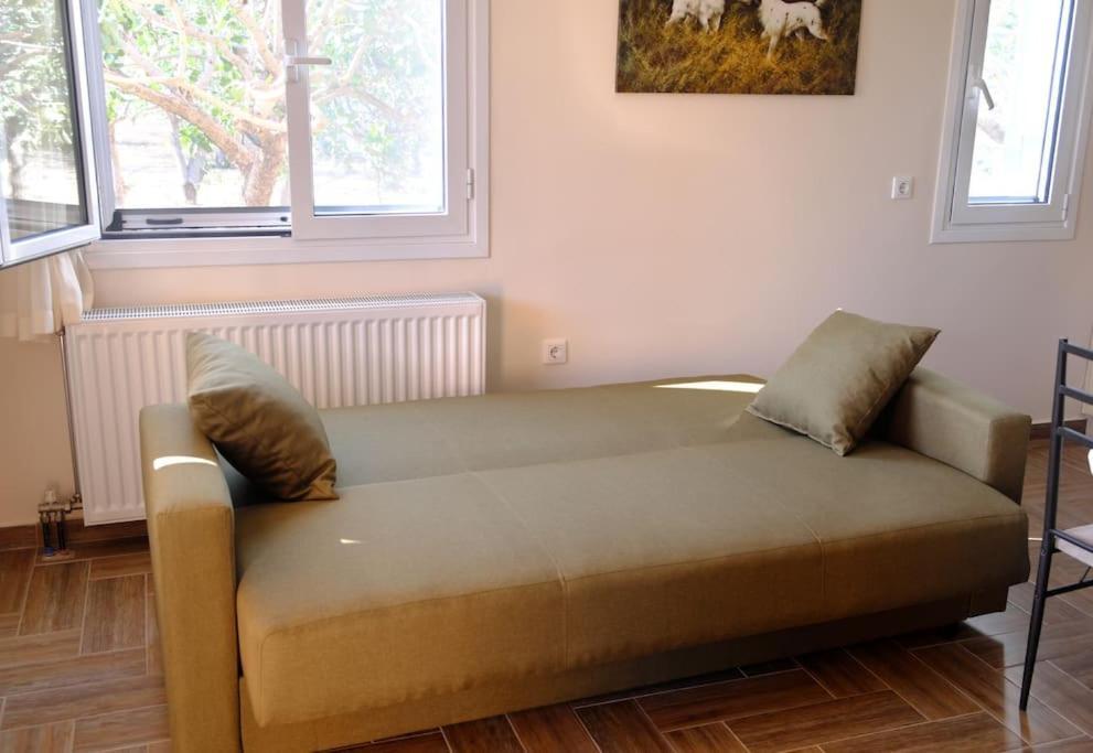 Nick'S House Βίλα Αίγινα Εξωτερικό φωτογραφία